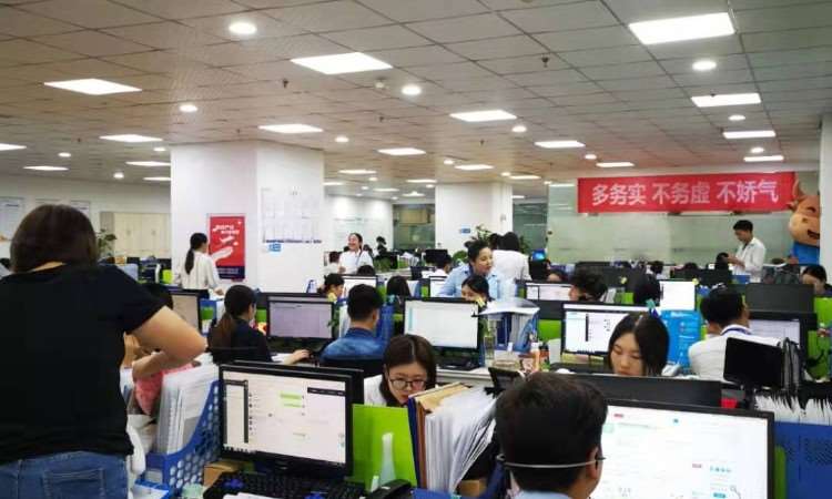 教育咨詢新標桿 重慶憨牛教育信息咨詢的價值與實踐