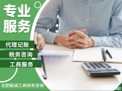 合肥財(cái)務(wù)會(huì)計(jì)/評(píng)估與財(cái)務(wù)咨詢 專業(yè)服務(wù)賦能企業(yè)發(fā)展