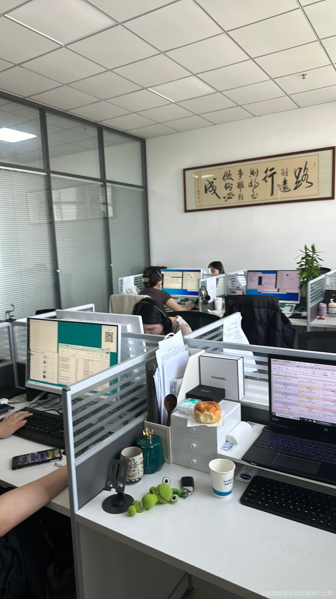 譯家財(cái)務(wù)咨詢服務(wù) 您的財(cái)務(wù)管理專家